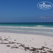 фото из отзыва ID 1691524