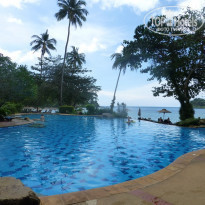 фото из отзыва ID 1691546