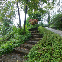 фото из отзыва ID 1691546