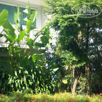 фото из отзыва ID 1691546