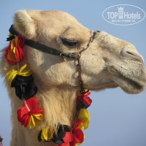 фото из отзыва ID 1691599