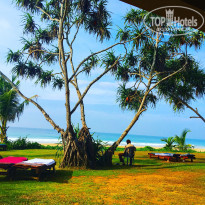 фото из отзыва ID 1691647