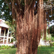 фото из отзыва ID 1691670