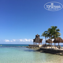 фото из отзыва ID 1691651