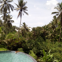 фото из отзыва ID 1691897