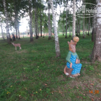 фото из отзыва ID 1691813