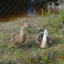 фото из отзыва ID 1691813