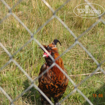 фото из отзыва ID 1691813