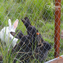 фото из отзыва ID 1691813