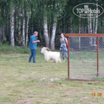 фото из отзыва ID 1691813