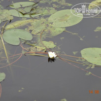 фото из отзыва ID 1691813