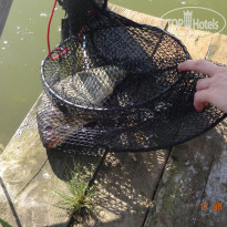 фото из отзыва ID 1691813