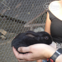 фото из отзыва ID 1691813