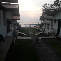 фото из отзыва ID 1691944