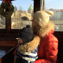 фото из отзыва ID 1691971