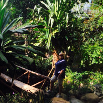 фото из отзыва ID 1692074