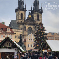 фото из отзыва ID 1692116