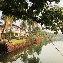 фото из отзыва ID 1692162