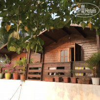 фото из отзыва ID 1692162