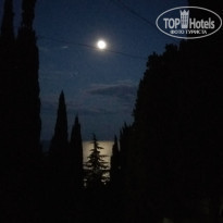 фото из отзыва ID 1692217