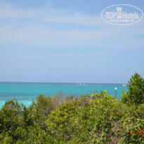 фото из отзыва ID 1692385