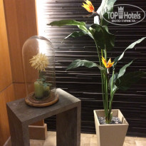 фото из отзыва ID 1692430