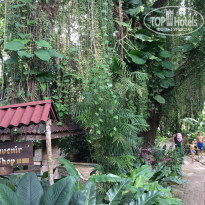 фото из отзыва ID 1692478