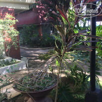 фото из отзыва ID 1692478