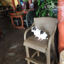 фото из отзыва ID 1692478