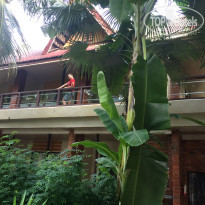 фото из отзыва ID 1692478