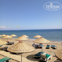 фото из отзыва ID 1692484