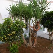 фото из отзыва ID 1692567