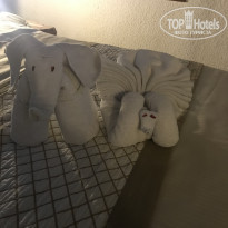 фото из отзыва ID 1692614