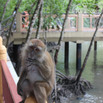 фото из отзыва ID 1692624