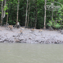 фото из отзыва ID 1692624