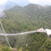 фото из отзыва ID 1692624