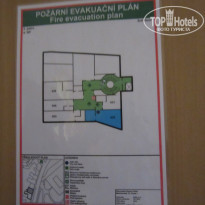 фото из отзыва ID 1692680