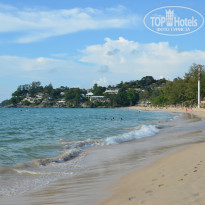 фото из отзыва ID 1692852