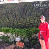 фото из отзыва ID 1692854