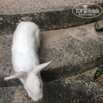 фото из отзыва ID 1692854