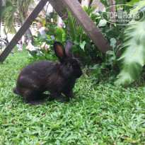 фото из отзыва ID 1691417