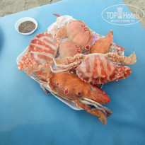 фото из отзыва ID 1692937