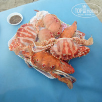 фото из отзыва ID 1692937