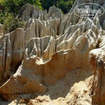 фото из отзыва ID 1692937