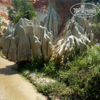 фото из отзыва ID 1692937