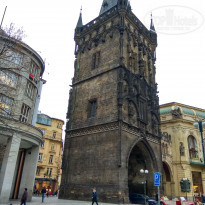 фото из отзыва ID 1692956