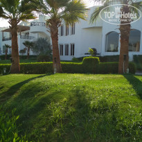 фото из отзыва ID 1692983