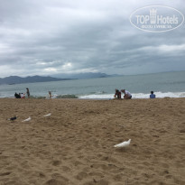 фото из отзыва ID 1693332