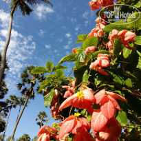 фото из отзыва ID 1691918