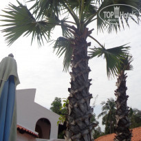 фото из отзыва ID 1693519